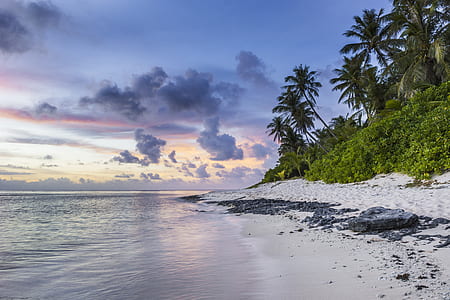 white seashore photo thumbnail