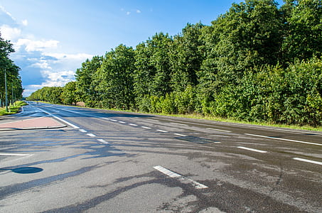 empty road surrounded with trees thumbnail