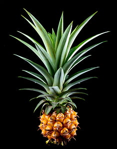 photo of pineapple thumbnail