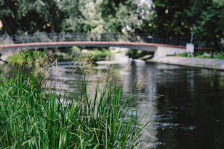 River thumbnail