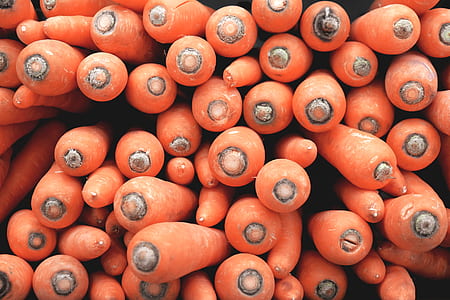photo of carrots thumbnail