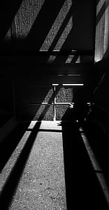 black and white, shadows, silhouettes thumbnail