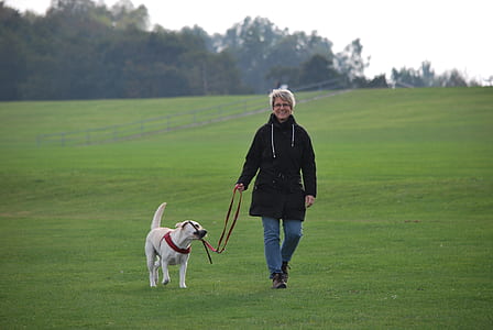 person, animal, dog, pet thumbnail