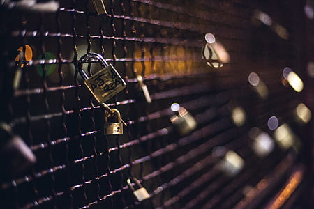 love, street, fence, amour thumbnail