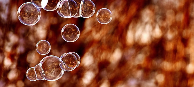 photography of flying bubbles thumbnail