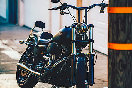 person taking photo of black Harley-Davidson cruiser motorcycle thumbnail