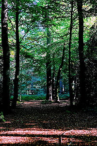 green woods thumbnail