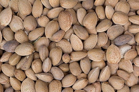brown nut lot thumbnail