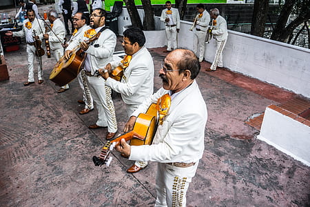 musician playing their instruments thumbnail