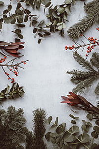 assorted leaves thumbnail