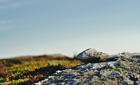 grey and brown photo under the blue sky during daytime thumbnail
