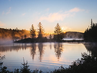reflection photo of trees near body of water thumbnail