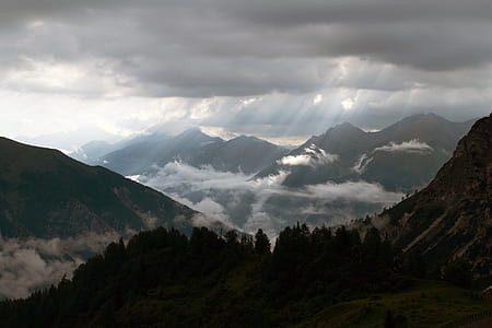 high-angle photo of pine forest in the middle of mountains during day thumbnail