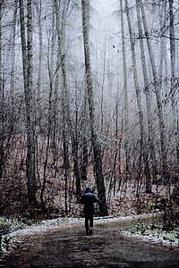 person in black hoodie walking on road in between trees while raining thumbnail