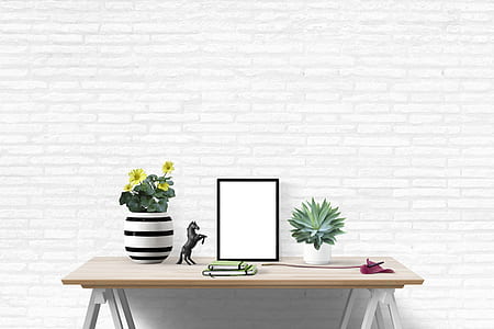 photo of white photo frame beside flower thumbnail