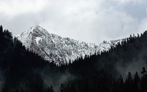 grayscale photography of glacier mountain with pine trees at daytime thumbnail