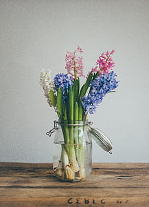 blue, pink, and white petaled flowers in clear glass mason vase thumbnail