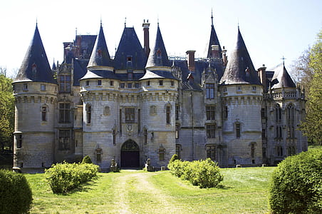 photo of gray and blue castle under white sky at daytime thumbnail