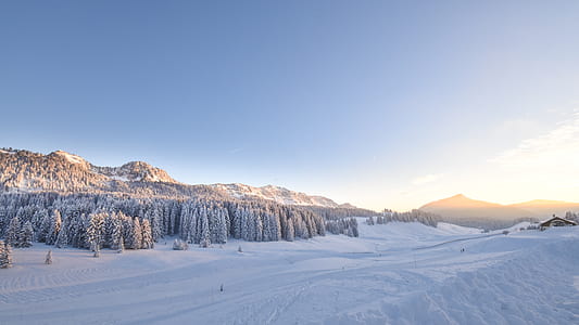 snow field during golden hour thumbnail