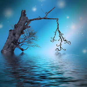 gray tree with hooks illustration thumbnail