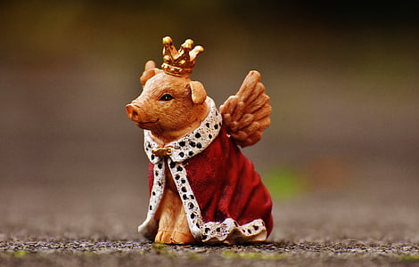 shallow focus photography of pig figurine thumbnail