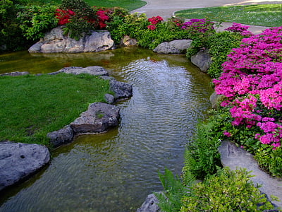 body of water surrounded with purple petaled flowers and grasses thumbnail