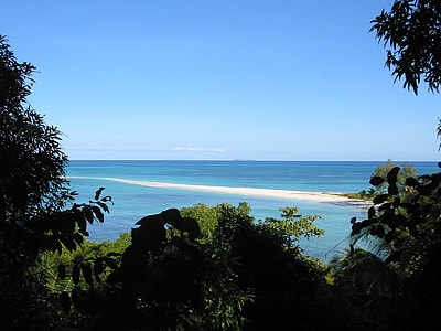 calm sea near trees at daytime thumbnail