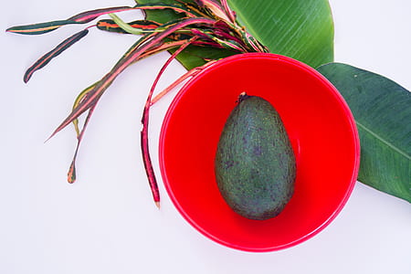 avocado on red plastic bowl thumbnail