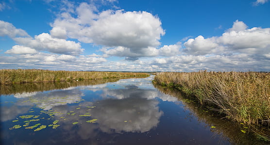 white clouds above body of water thumbnail