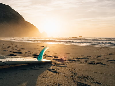 surfboard on beach shore thumbnail