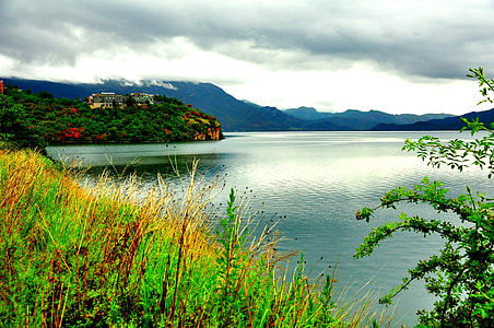 photo of green forest near lake during cloudy day thumbnail