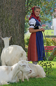 girl standing beside tree near goats thumbnail