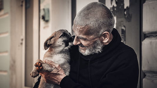 man carrying tan and white dog thumbnail