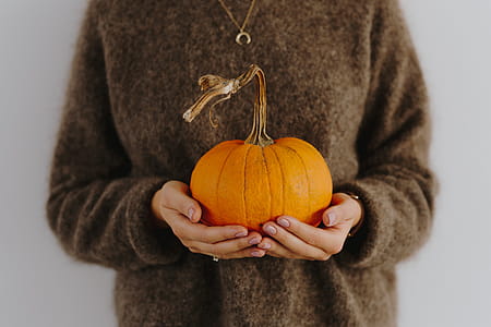 Women's hands in sweater are holding pumpkin thumbnail