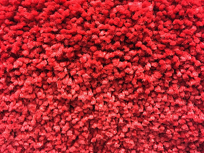 close-up photo of red textile thumbnail