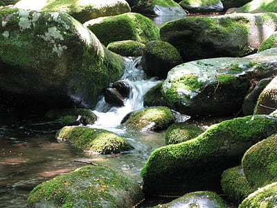 timelapse photography of flowing stream thumbnail