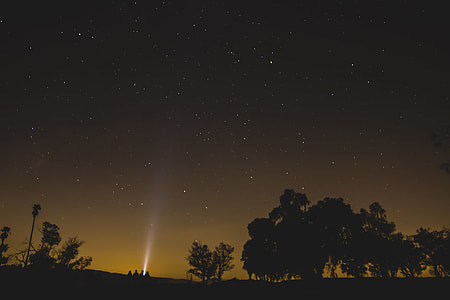 silhouette of people under the stars near trees thumbnail