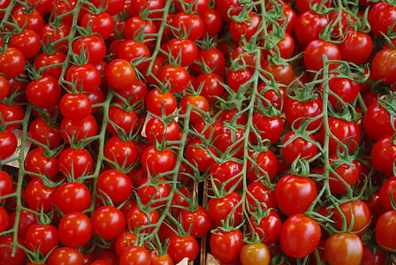tomato bundle thumbnail