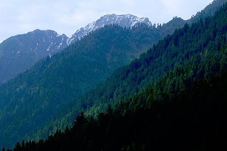 green mountain thumbnail