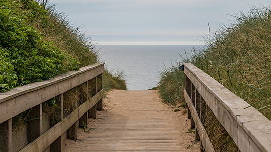 brown wooden bridge thumbnail