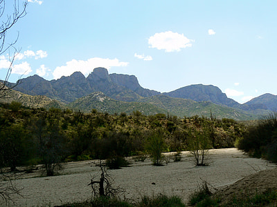 Catalina State Park in Oro Valley in Arizona thumbnail