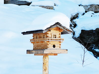 Wooden Bird House thumbnail
