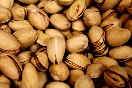 focus photography of nuts thumbnail