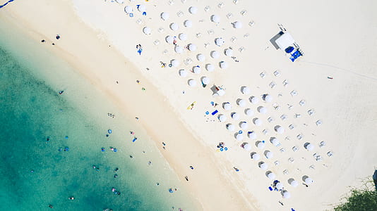 bird's eyeview of body of water thumbnail