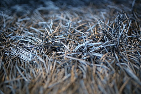 Carpet with fringe thumbnail