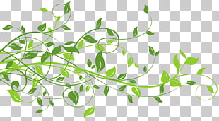Leaf , Spring Decor with Leaves , green leaves illustration PNG clipart