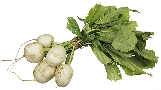 bundle of radish vegetables thumbnail