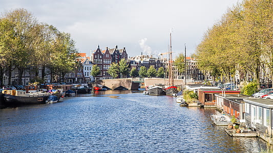 body of water near houses thumbnail
