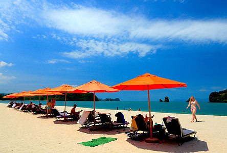several orange umbrellas thumbnail