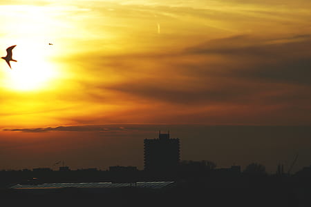 city, dawn, sky, sunset thumbnail